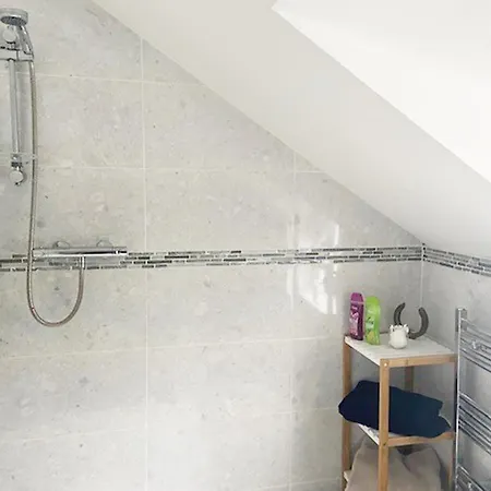 Shannon Castle Type A By Trident Homes * Ballysteen